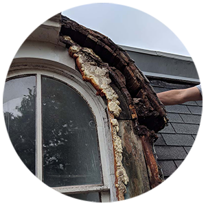 house-repairs-by-jackson-built-customs